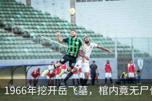 1966年挖开岳飞墓,棺内竟无尸骨,只有一个陶罐,八百年前那个狱卒的秘密,终于被揭开了